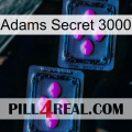 Adams Secret 3000 03